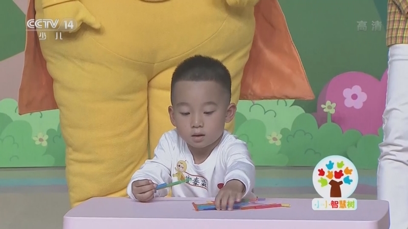 小小智慧树 《小小智慧树》 20221216