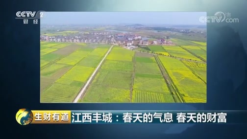 生财有道 《生财有道》 20190424 咱们家乡春天美 江西丰城：春天的气息 春天的财富