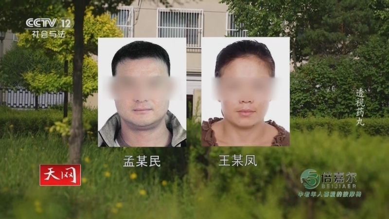 天网 《天网》 20250724 透视药丸