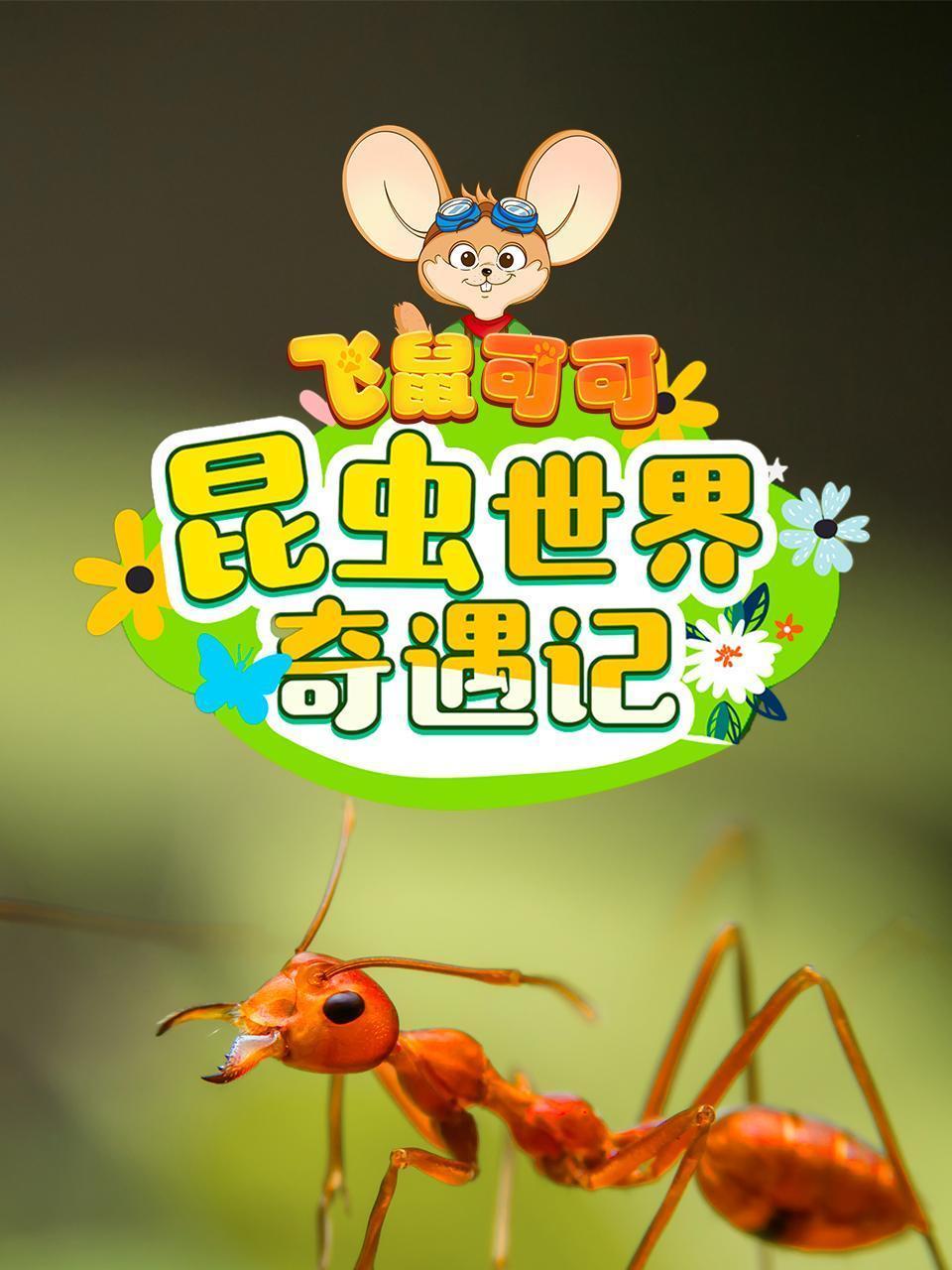 飞鼠可可 昆虫世界奇遇记