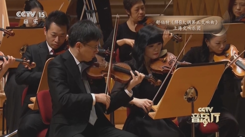 CCTV音乐厅 《CCTV音乐厅》 20260712 巨匠之声 古典音乐大师系列音乐会（9）