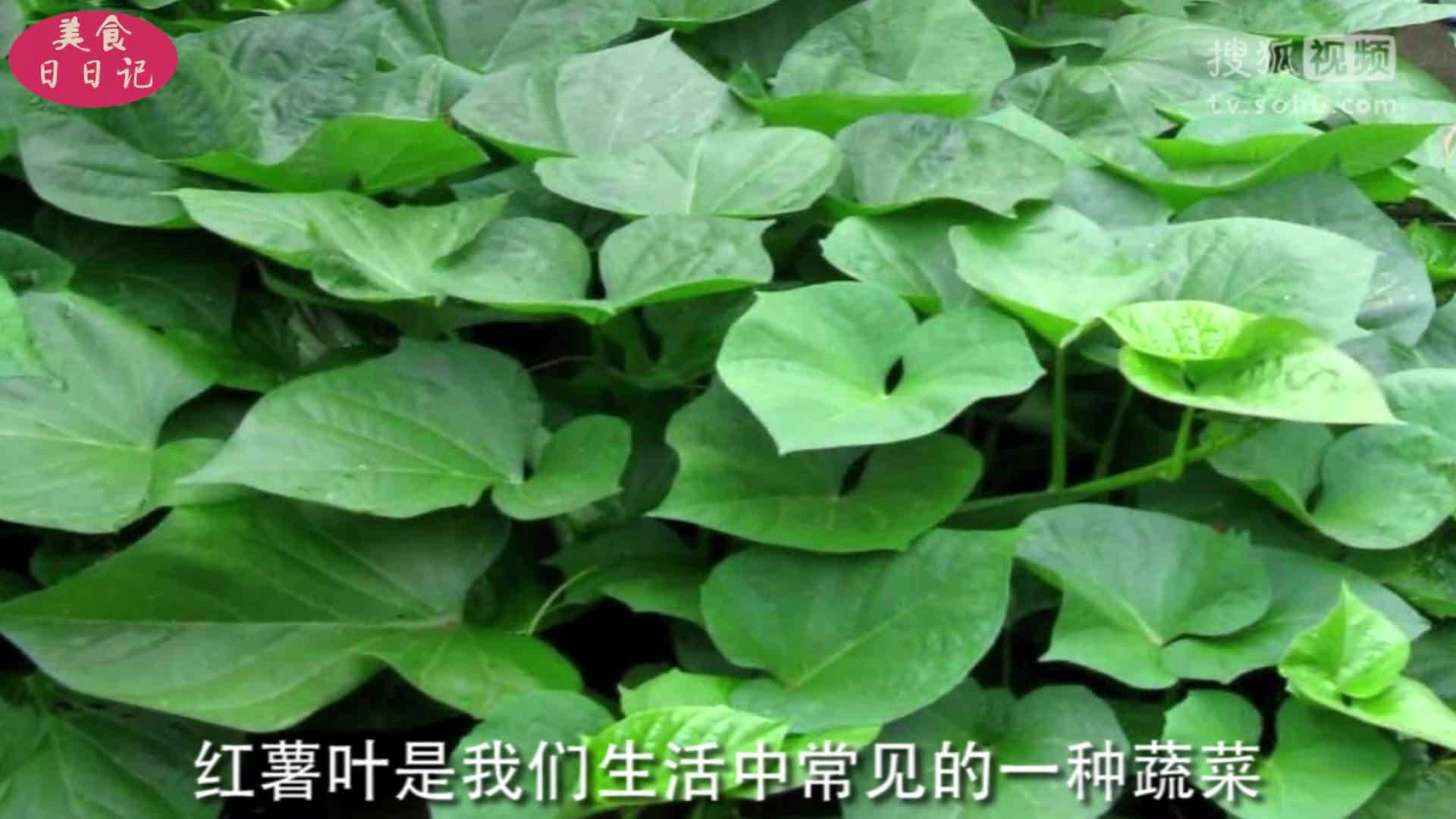 美&middot;食 它是农村常见的蔬菜, 降压又防癌, 很多人不知它功效, 常把它扔掉
