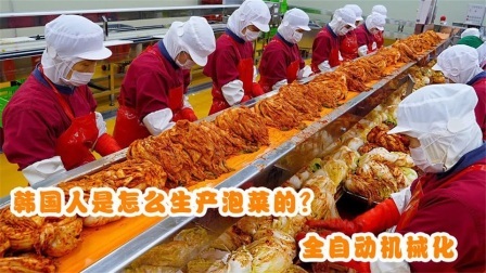机械控 韩国人是怎么生产泡菜的？全自动机械化，这样的泡菜好吃吗
