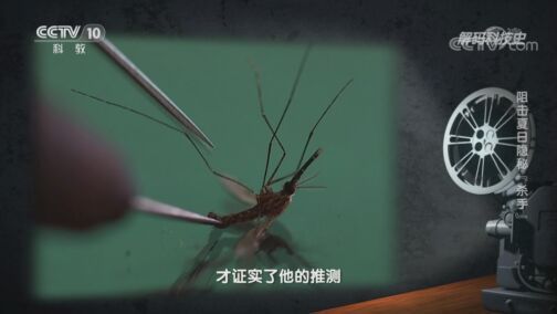 解码科技史 《解码科技史》 20200808 阻击夏日隐秘“杀手”