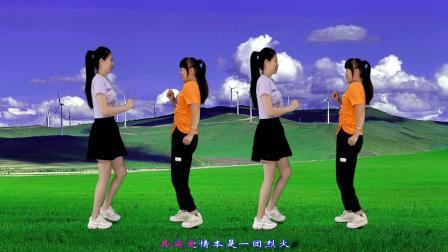 动感双人舞《情火》简单好看的32步