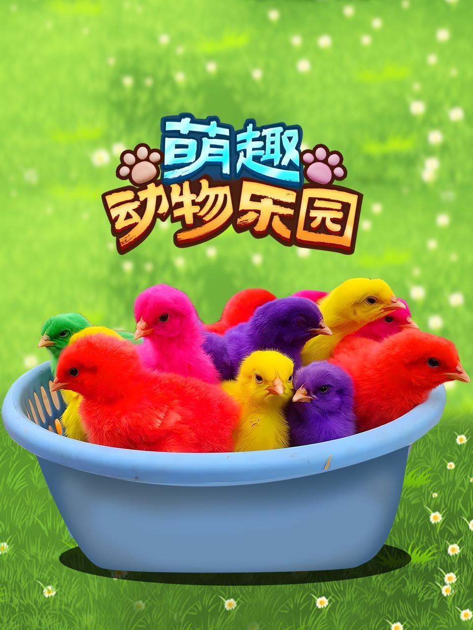 萌趣动物乐园