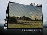动物世界 《动物世界》 20110707