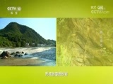 地理中国 《地理中国》 20180813 黟山奇石（下）