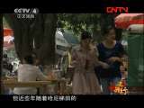 远方的家 《边疆行》第15集 哈尼风光彝家情《远方的家》20110729
