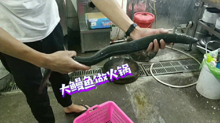 南澳岛赶海日记 潮汕特色鳗鱼火锅，一种你没见过的吃法，就一个清汤锅底原汁原味