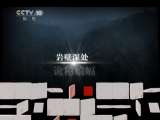 地理中国 [地理中国]绝壁蝠影（下）（20110525）