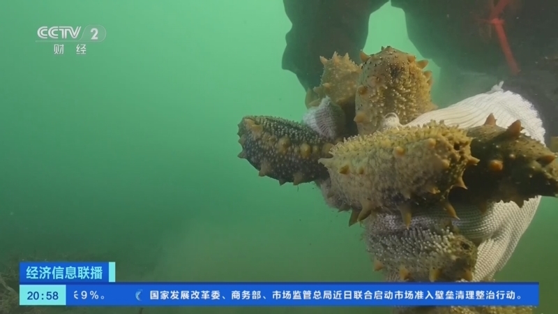 经济信息联播 《经济信息联播》 20250520