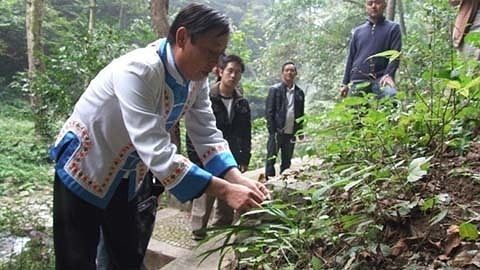经典传奇 湘西“蛇王”绝技大揭秘