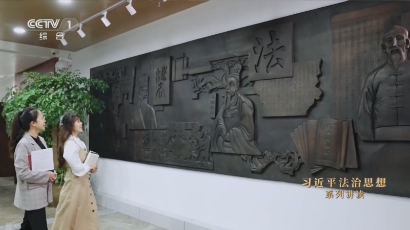 《习近平法治思想系列讲读》 第2集 建设更高水平的法治中国