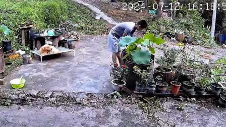 品人生百味第二季 戏精狗狗上线，偷鸡反装无辜，给男子整懵了