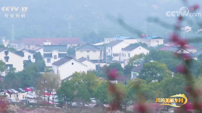 《我的美丽乡村》 20211008 太湖之滨香雪村