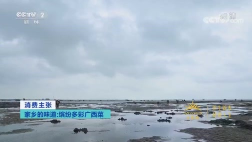 消费主张 《消费主张》 20200327 家乡的味道：缤纷多彩广西菜