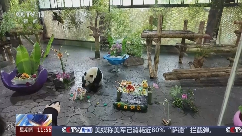 新闻直播间 《新闻直播间》 20260806 11:00