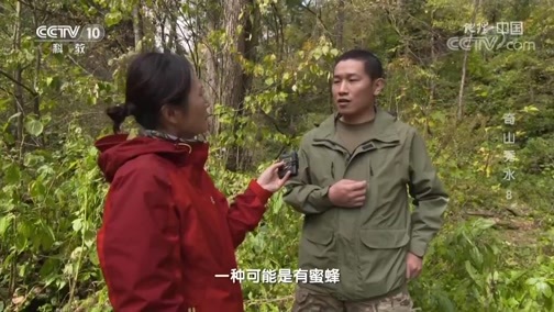 地理中国 《地理·中国》 20200717 奇山秀水8