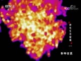 动物世界 《动物世界》 20180126 野性生存秘籍（一）