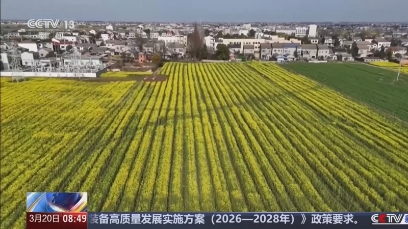 《朝闻天下》 20260320 08:00