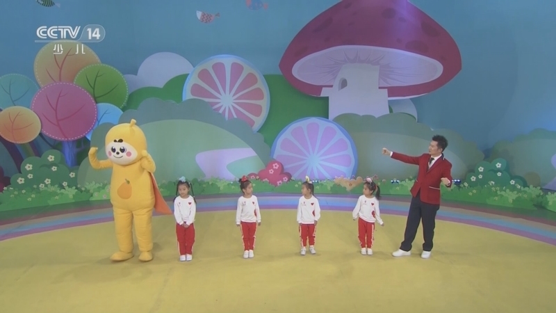 小小智慧树 《小小智慧树》 20230412