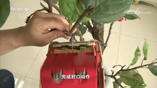 我爱发明 《我爱发明》 20190915 苹果巧穿衣