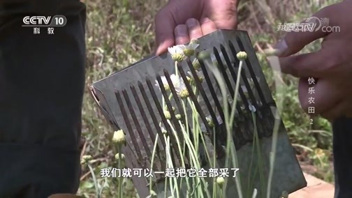 我爱发明 《我爱发明》 20190722 快乐农田2