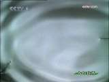 人与自然 自然启示 小型猎手 下