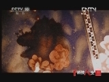 科技人生 《科技人生》 20121125 中国法医系列—欧拉