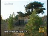 走进东方桥头堡：日照 走进日照说日照