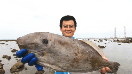 思乡渔夫 早起的渔夫有大鱼吃，竟在海滩捡了条“耗…
