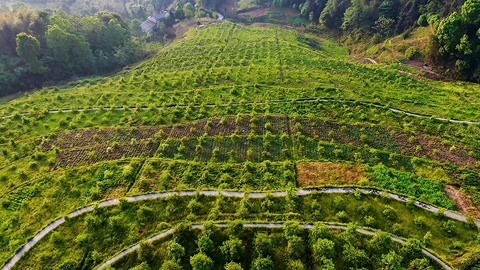 与梦想合拍 油然而生的幸福