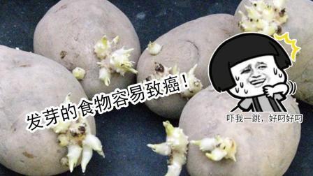 聊斋怪谈 为啥冬吃萝卜赛人参原来能养生还能预防癌症