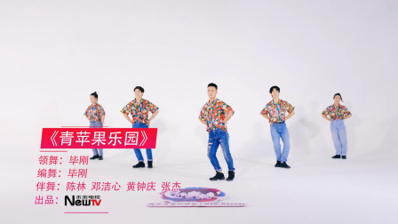 青苹果乐园—毕刚