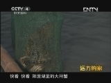 远方的家 《沿海行特别节目》品味水中鲜《远方的家》 20120515