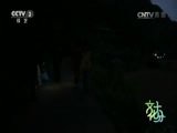 文化十分 《文化十分》 20151126