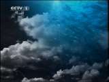 人与自然 《人与自然》 20110602 自然发现——大麻哈鱼洄游（上）