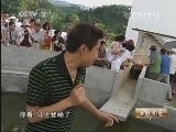 生财有道 《生财有道》 20130812 《大别山里的藏宝图》（上）