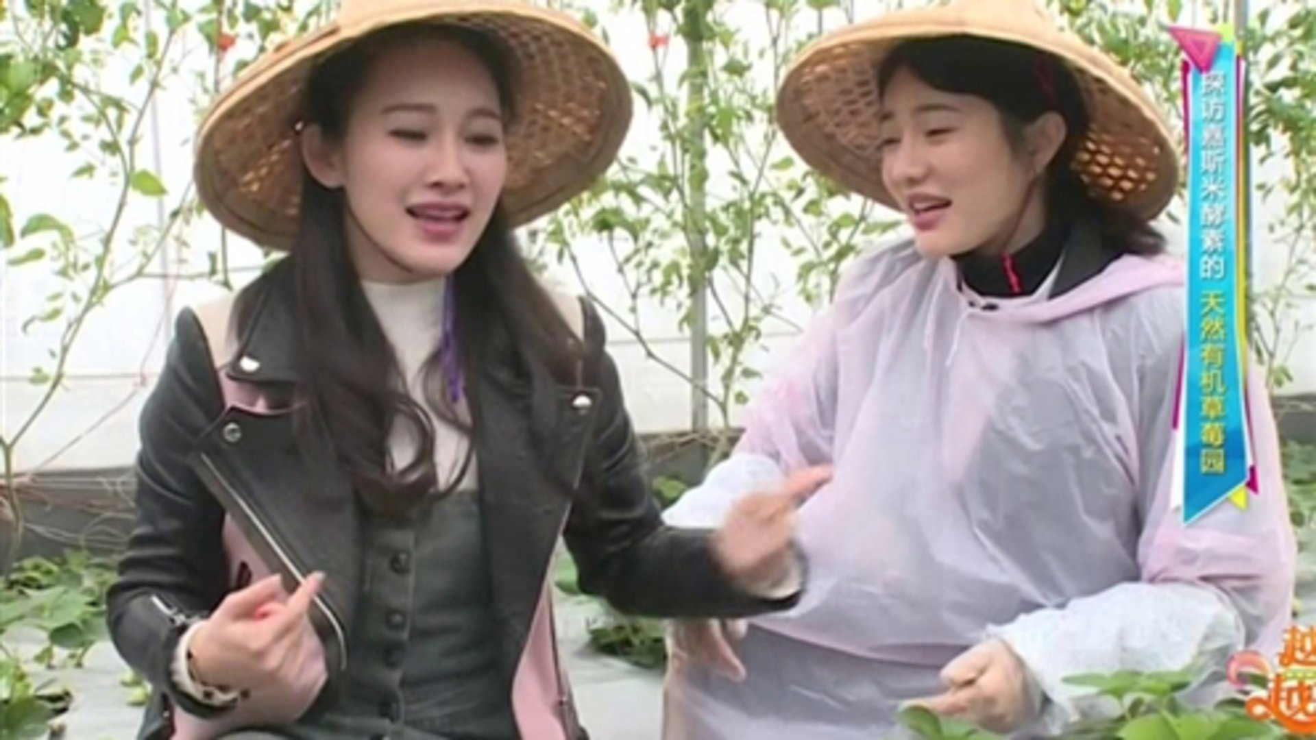 越淘越开心 台菜创意水果入菜 蹦出新滋味