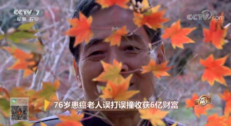 致富经 [致富经]76岁患癌老人误打误撞收获6亿财富 20181213