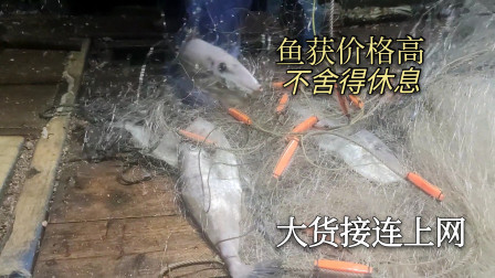 南澳岛赶海日记 国庆节海鲜大涨价彪哥舍得不休息，去外海捕鱼大货接连上网，简直是大丰收