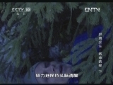 地理中国 《地理中国》 绝境求生·致命选择（下）20130219