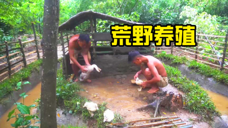 荒野建造者 第二季 越南兄弟背井离乡，到荒山野岭流浪，想靠养殖发家致富！