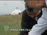 焦点访谈 《焦点访谈》 20171010 这五年：守好这片山和水