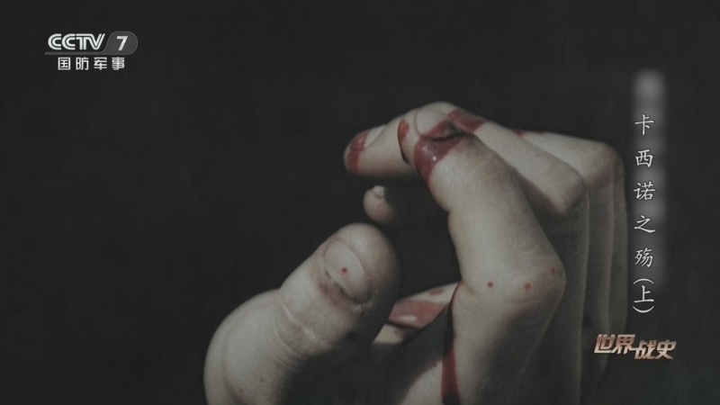 《世界战史》 20260327 卡西诺之殇（上）