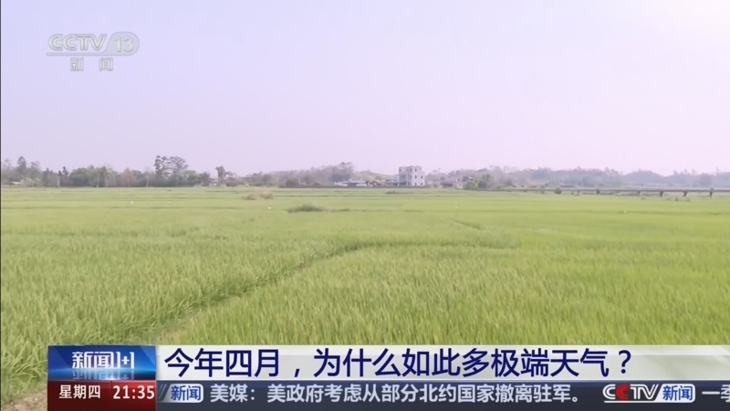 《新闻1+1》 20260409 今年四月，为什么如此多极端天气？