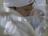《特别呈现》 20180126 《创新中国》 第五集 空海