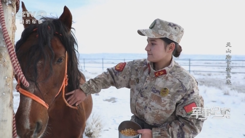 《军事纪实》 20260120 天山脚下骑兵连
