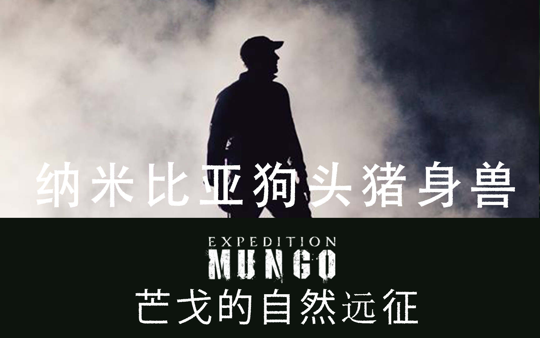 纳米比亚狗头猪身兽